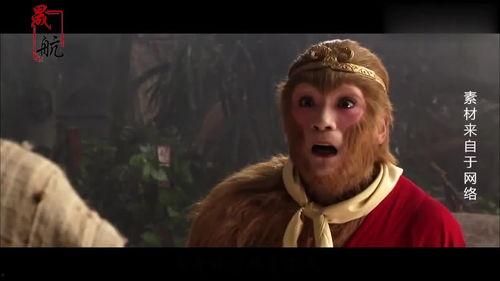 仙人名人爆料大全视频,仙人名人爆料大全视频精彩瞬间汇总 第3张 仙人名人爆料大全视频,仙人名人爆料大全视频精彩瞬间汇总 第3张